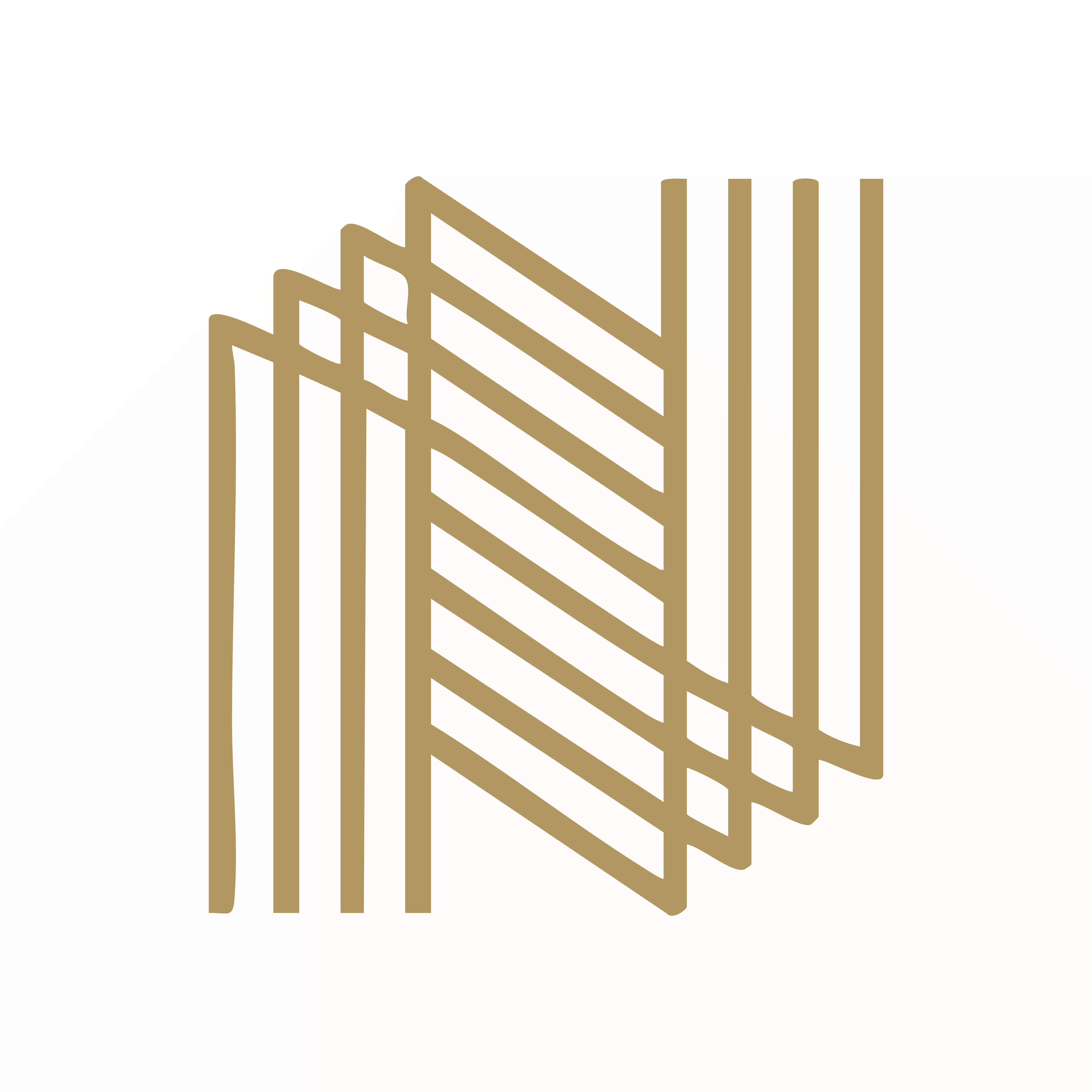 Nooly Logo